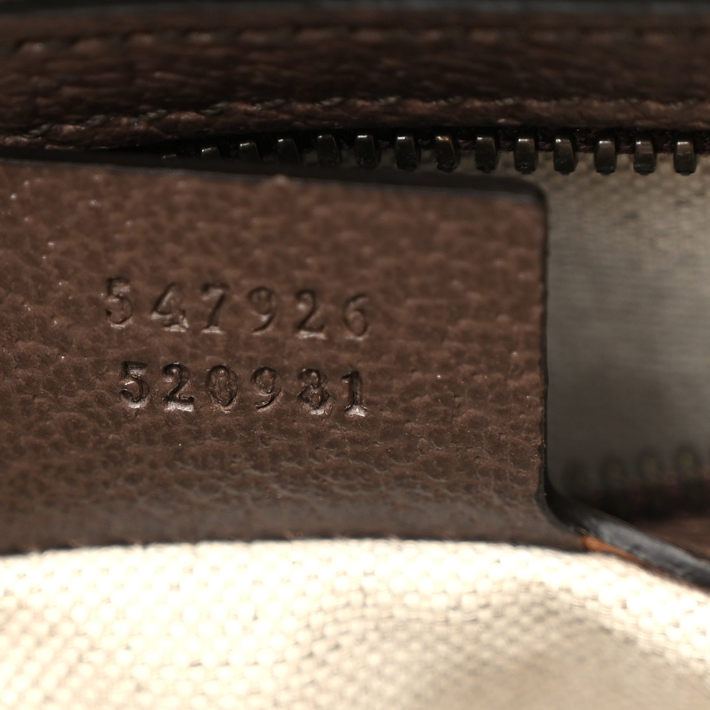 GG Supreme Monogram Web Small Ophidia Messenger Bag Brown