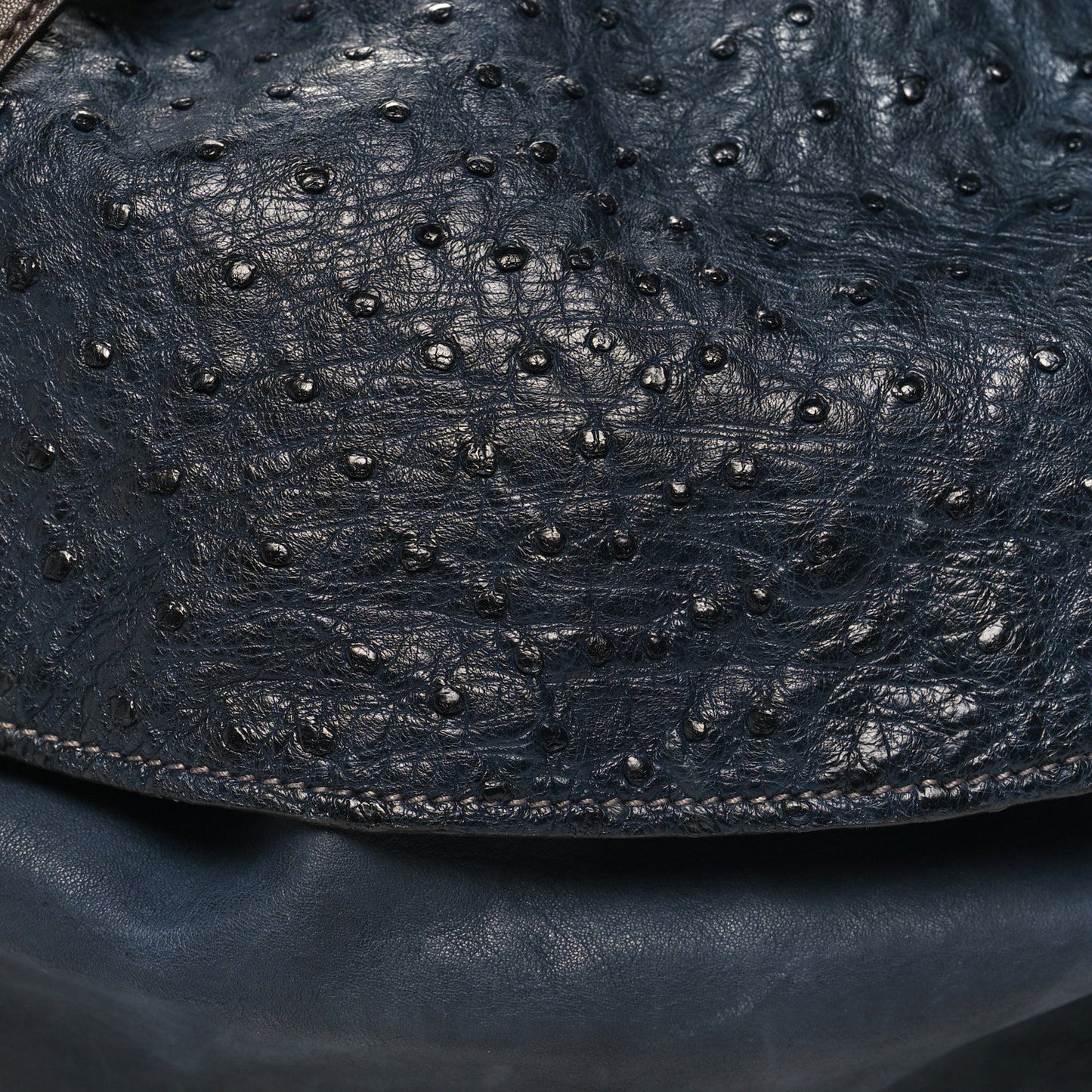 Ostrich Calfskin Hobo Blue