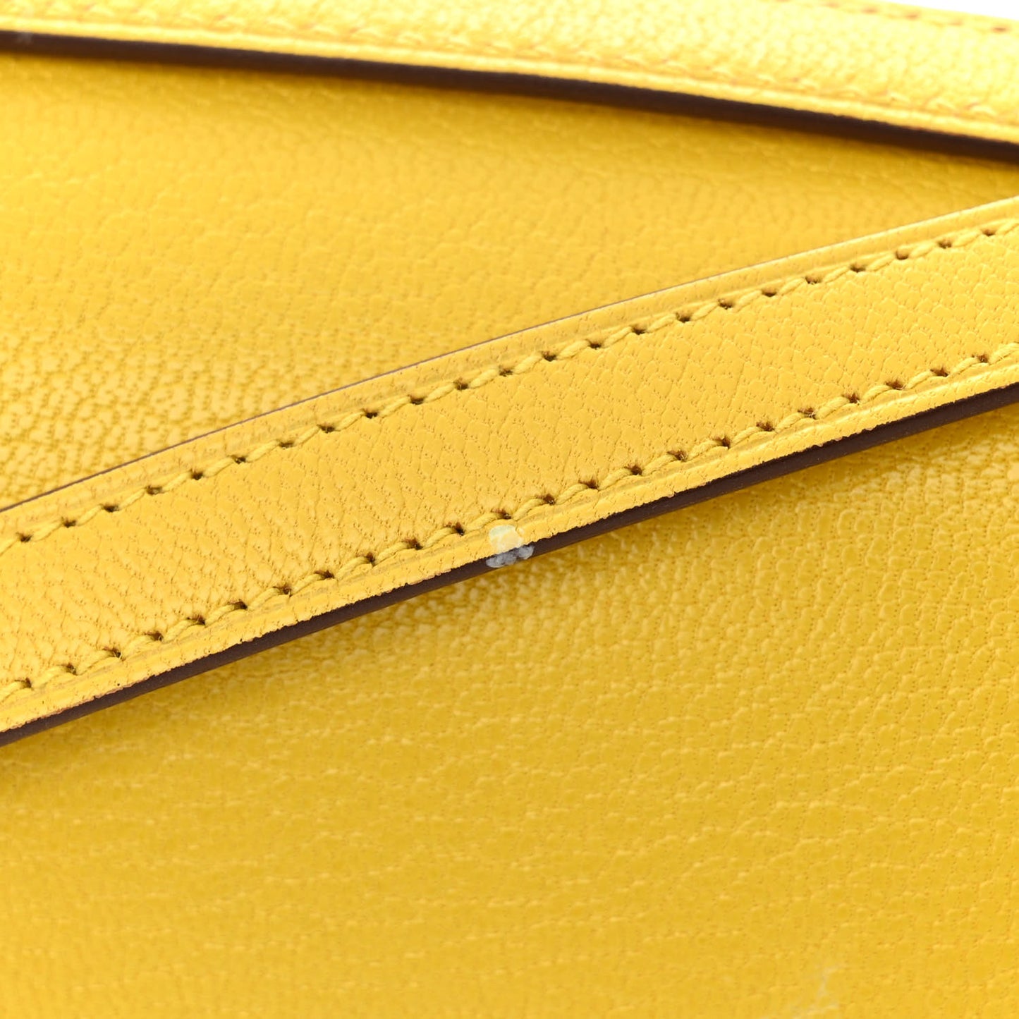 Chevre Mysore Constance 18 Jaune De Naples