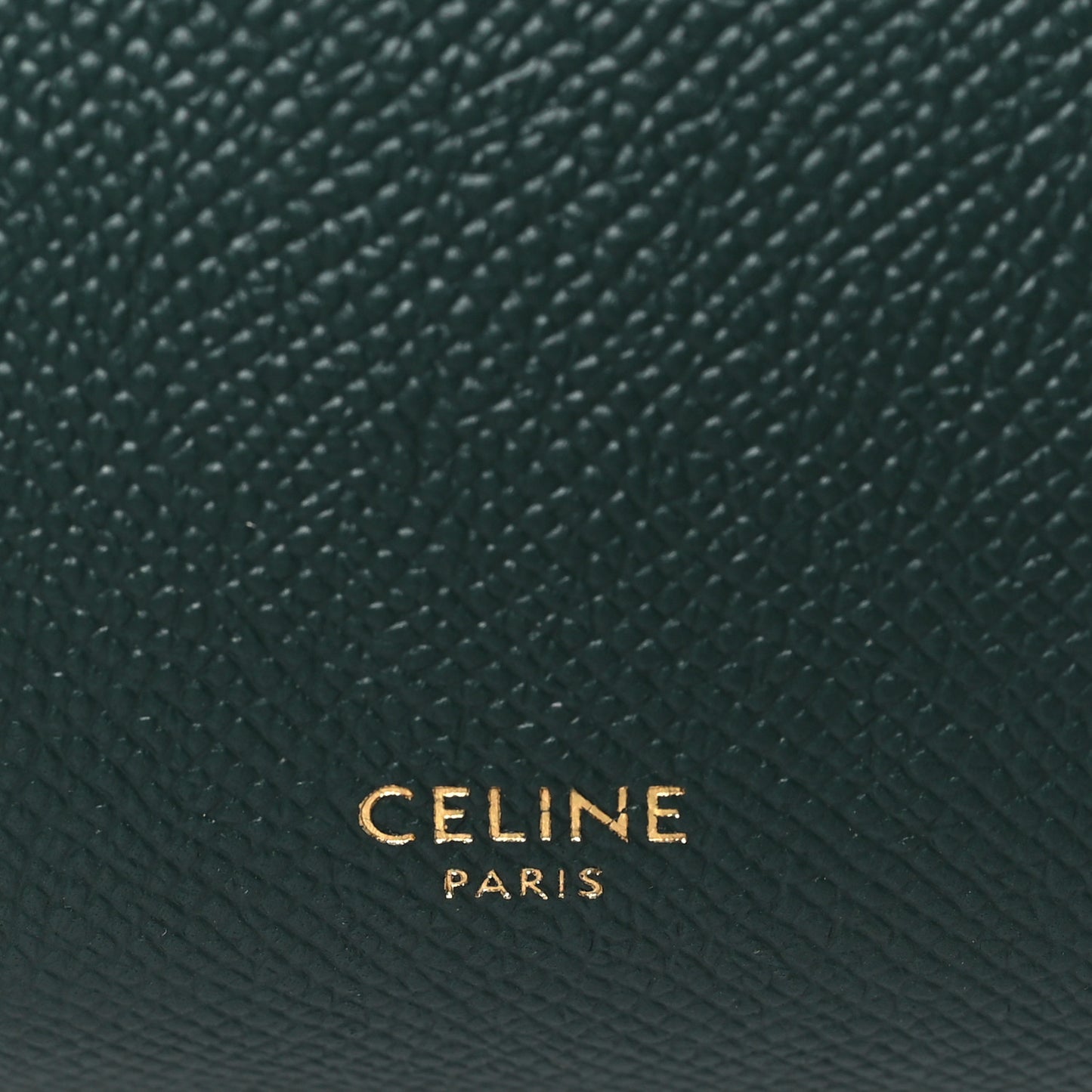 Grained Calfskin Nano Belt Bag Amazone