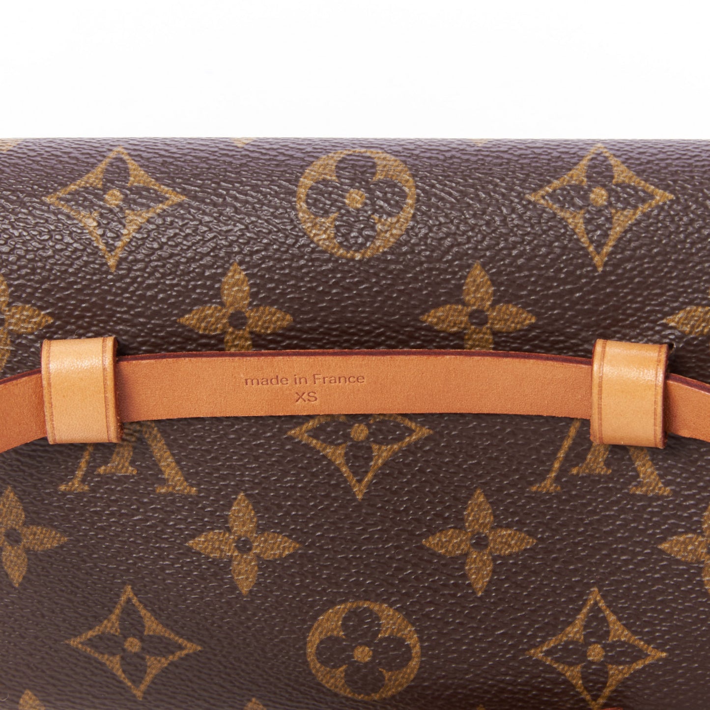 Monogram Pochette Florentine XS