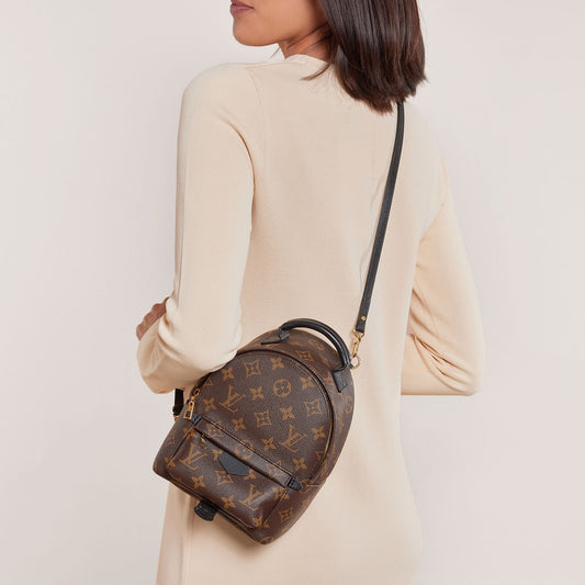 Monogram Palm Springs Backpack Mini