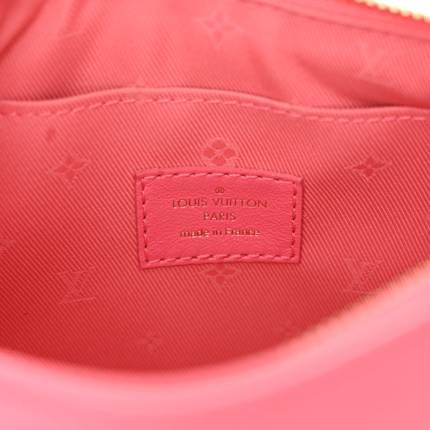 Louis Vuitton Calfskin Bubblegram Over The Dragon Fruit 6 of 9