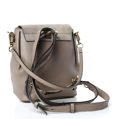 Chloe Suede Calfskin Small Faye Backpack Motty Grey 3 of 9