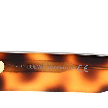 Loewe Acetate Paula's Ibiza Mask Sunglasses LW40071U Havana 5 of 8