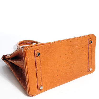 Hermes Ostrich Birkin 30 Cognac 6 of 29