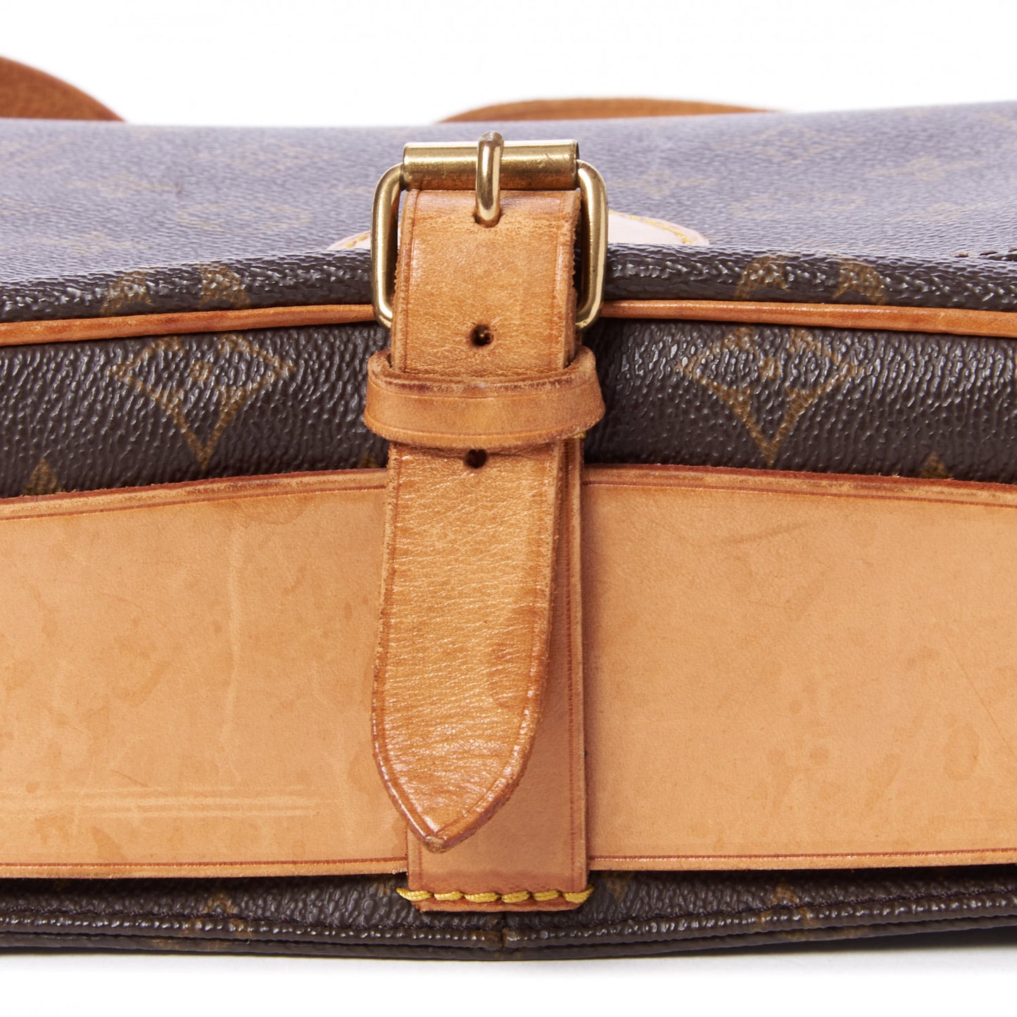 Monogram Cartouchiere 22
