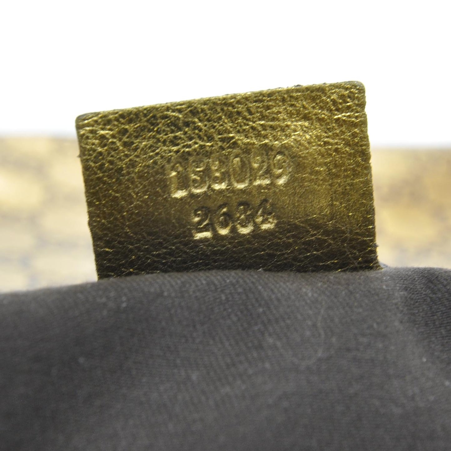 Guccissima Bouvier Web Hobo