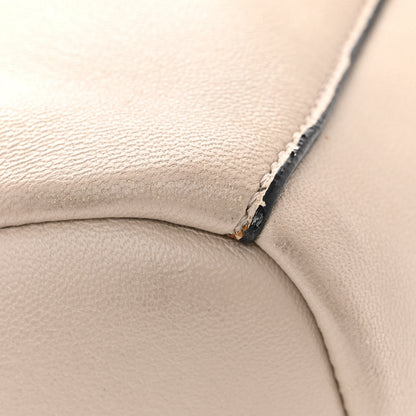 Jimmy Choo Nappa Raven Hobo Beige 10 of 18