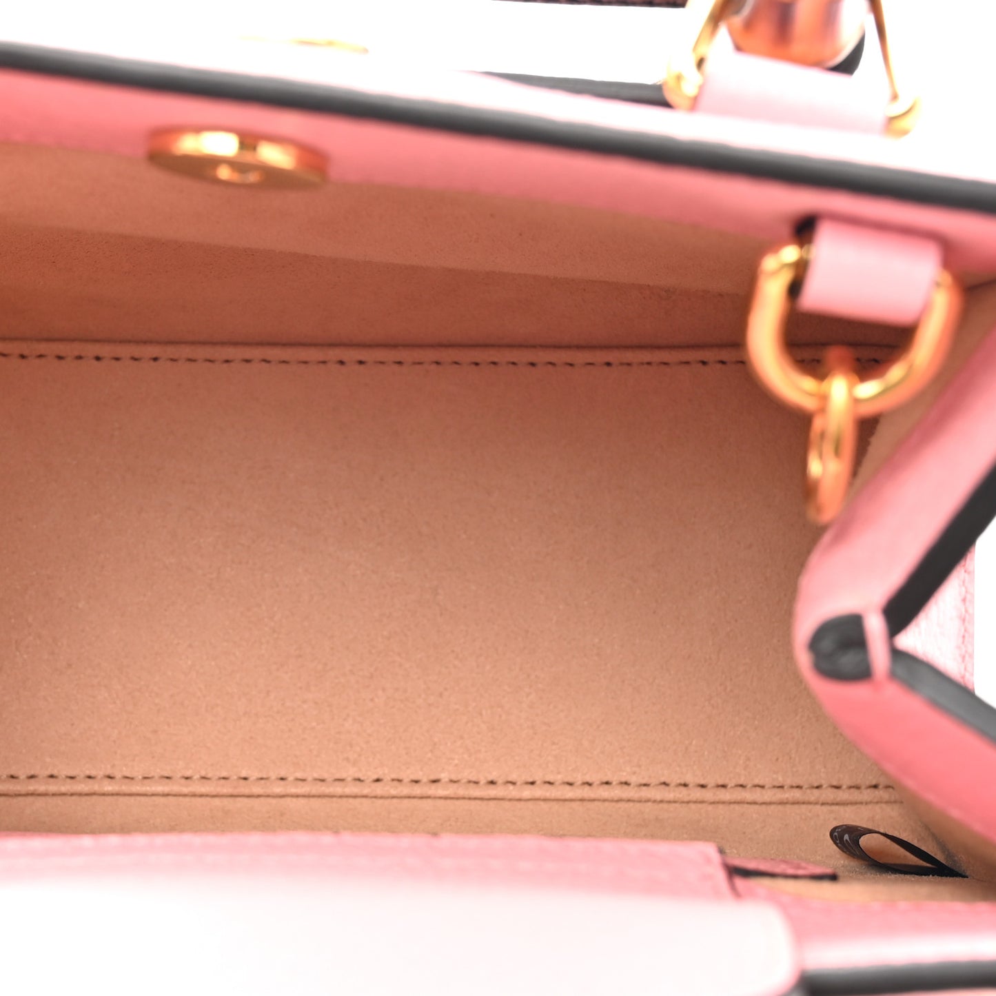 Textured Dollar Calfskin Web Mini Diana Tote Bag Wild Rose Black