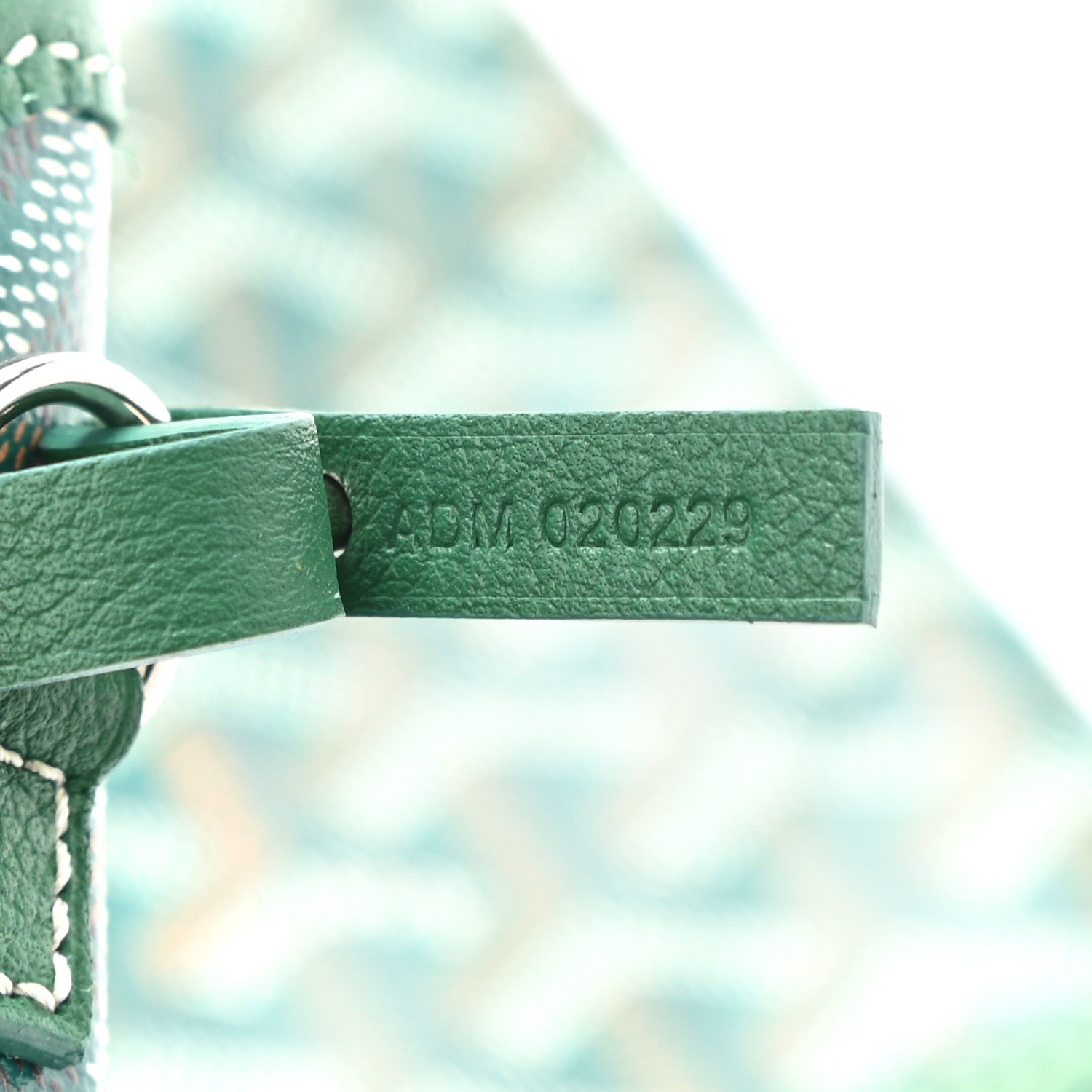Goyard Goyardine Saint Louis PM Green 7 of 8