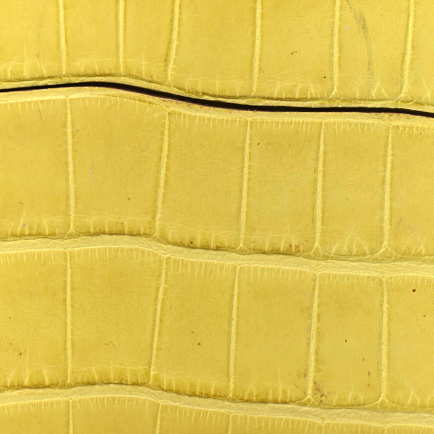 Matte Alligator Petit H Card Case Mimosa