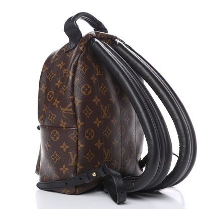 Louis Vuitton Monogram Palm Springs Backpack PM 3 of 8