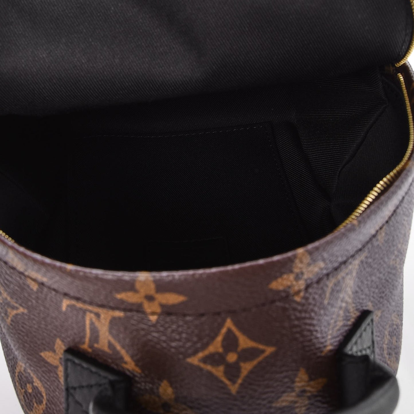 Monogram Palm Springs Backpack Mini