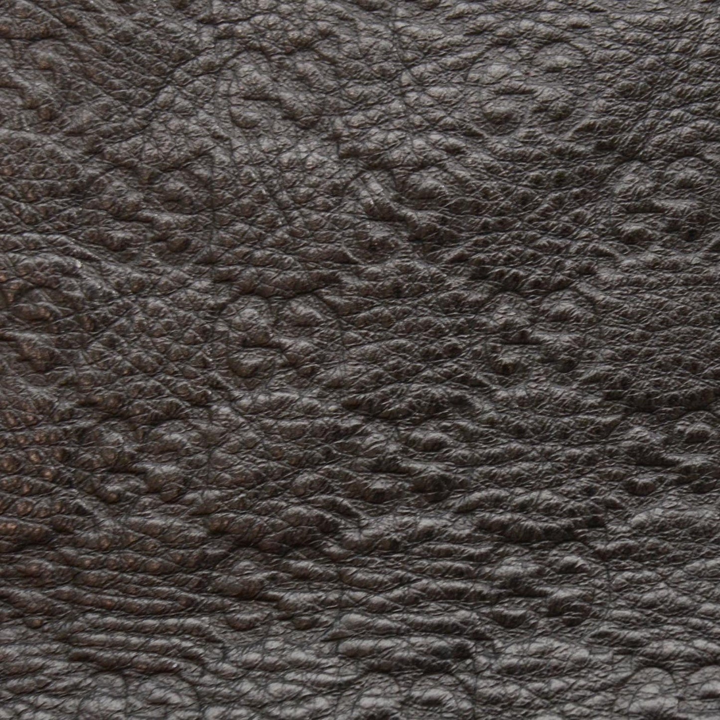 Guccissima New Ladies Web Hobo Black