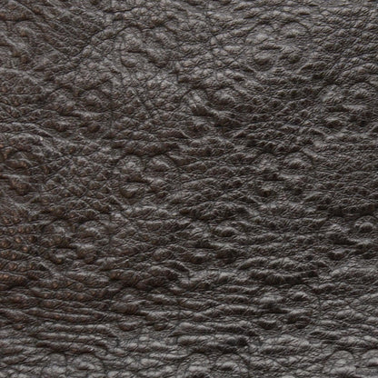 Gucci Guccissima New Ladies Web Hobo Black 8 of 8