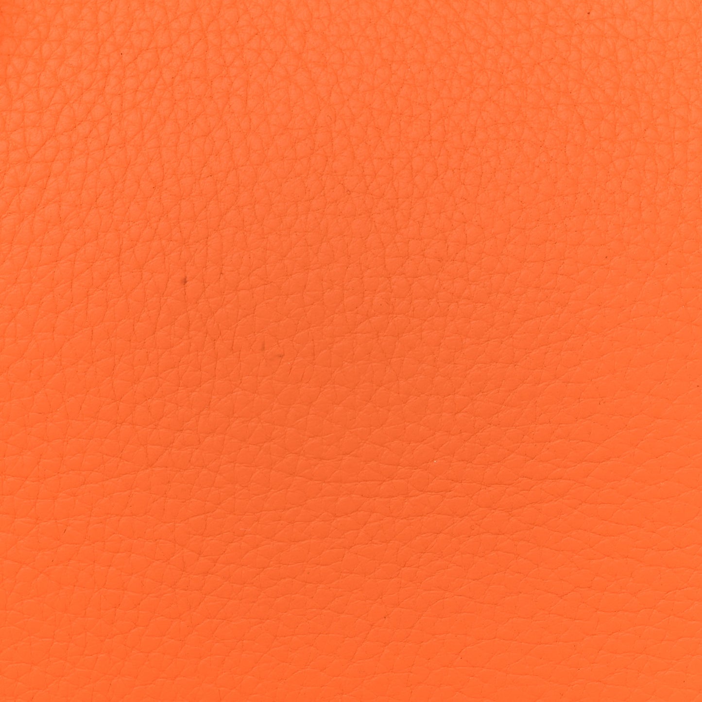 Taurillon Clemence Kelly Retourne 32 Orange