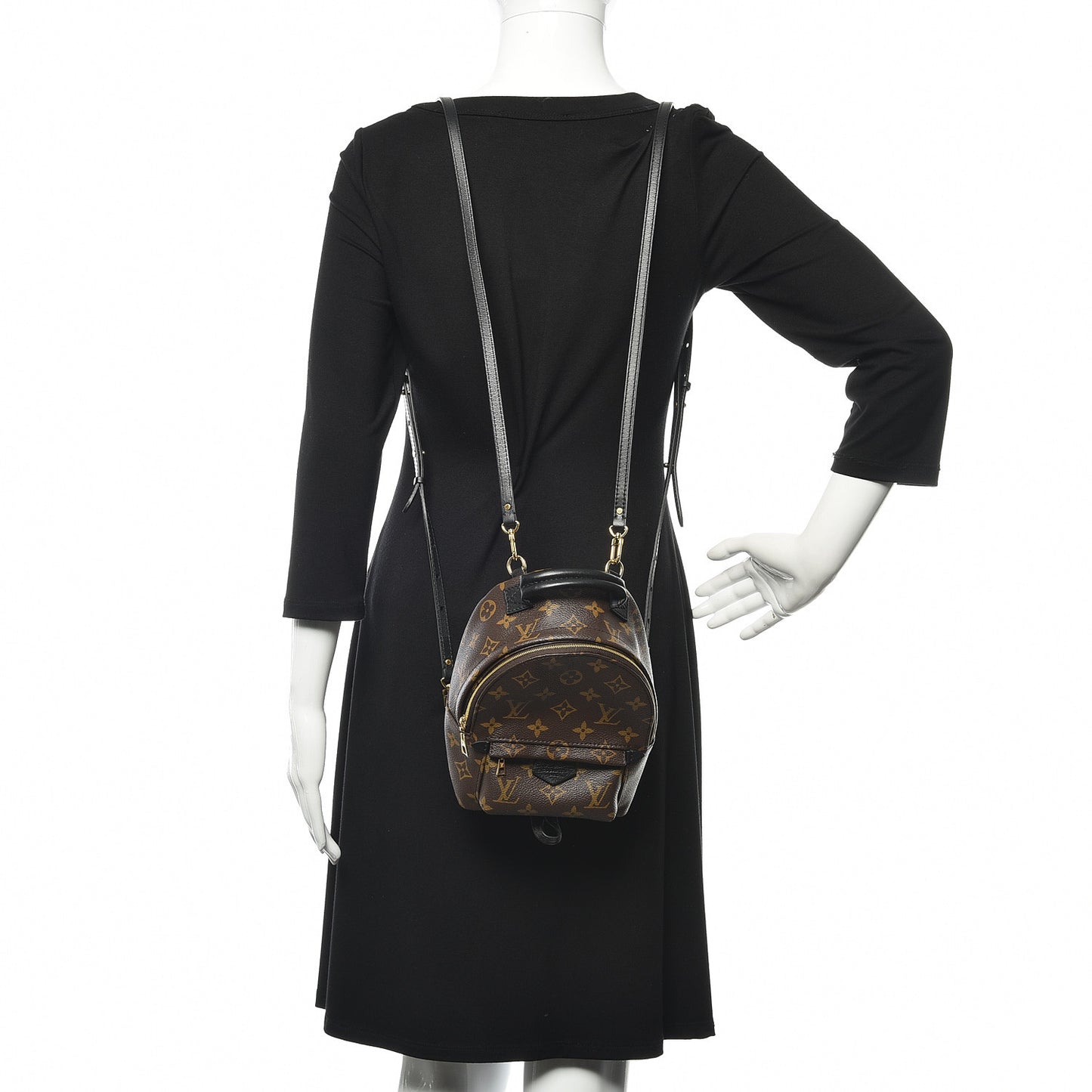 Monogram Palm Springs Backpack Mini