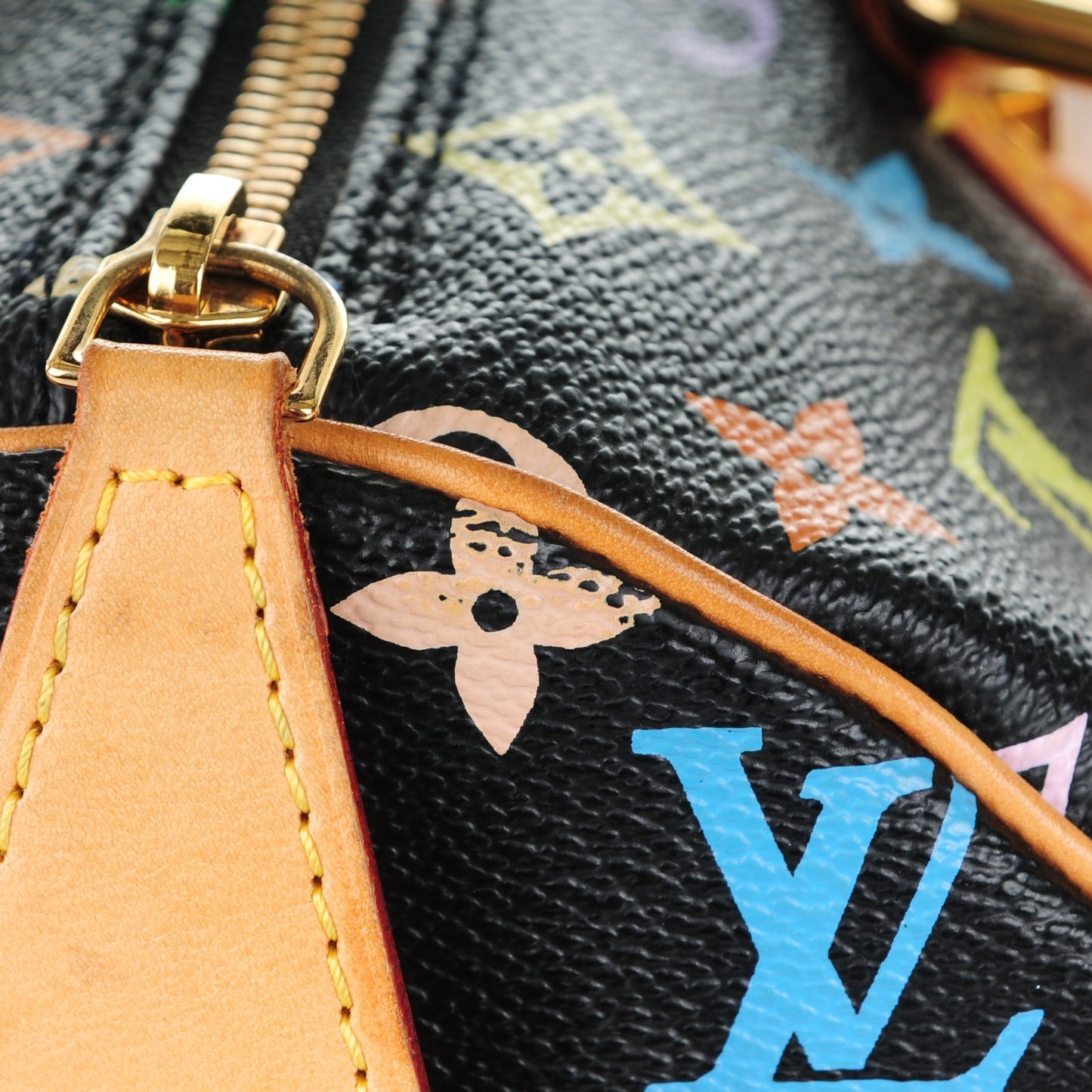 Monogram Multicolor Speedy 30 Black