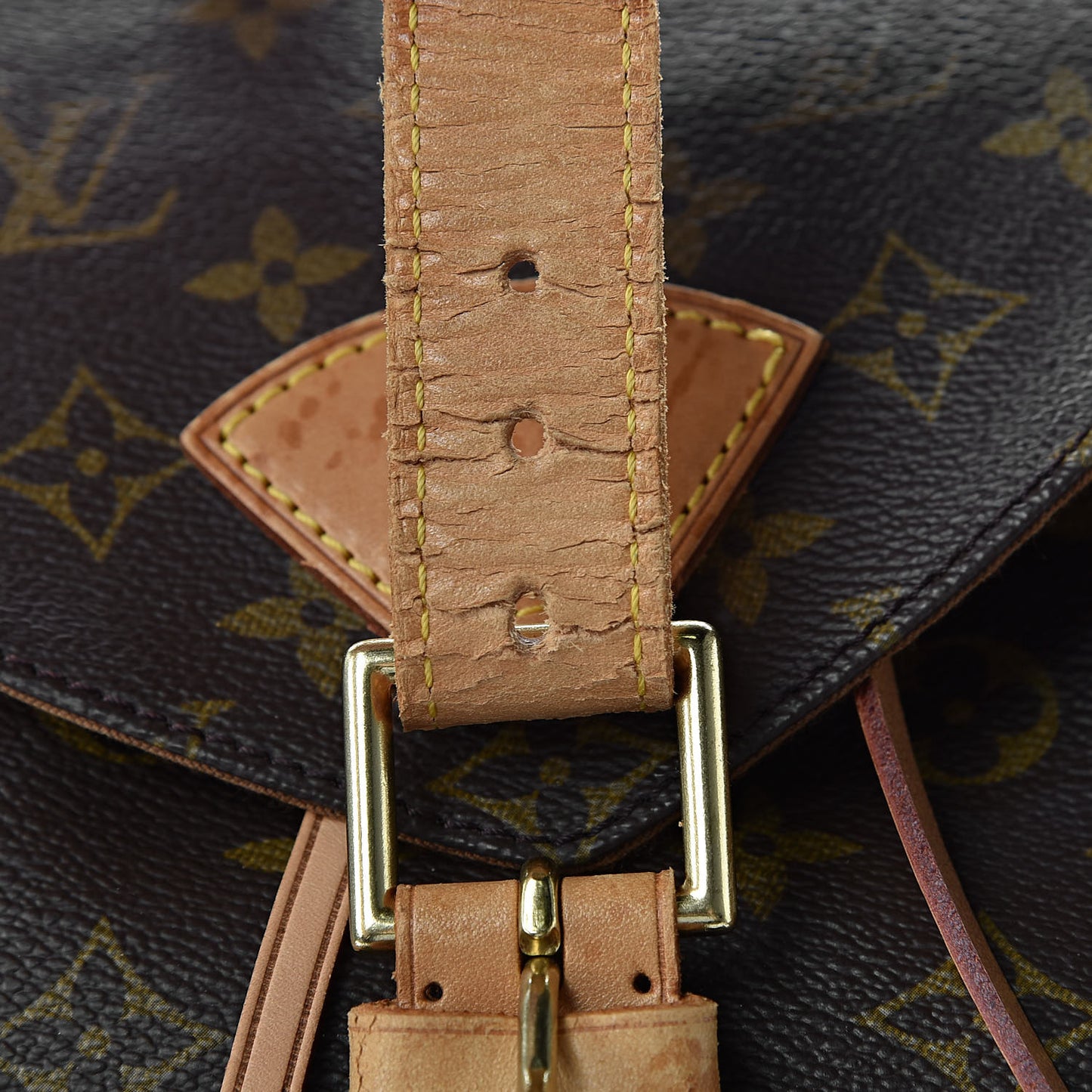 Monogram Montsouris GM Backpack