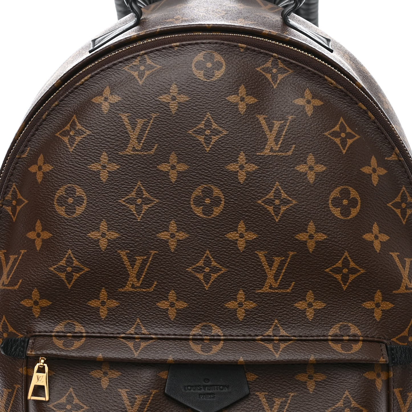 Monogram Palm Springs Backpack MM