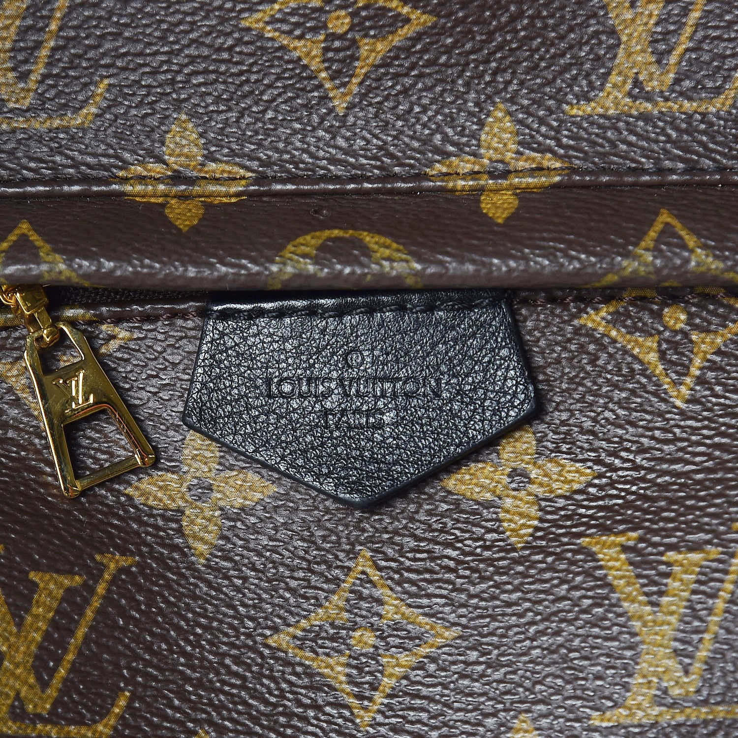 Louis Vuitton Monogram Palm Springs Backpack PM 11 of 14