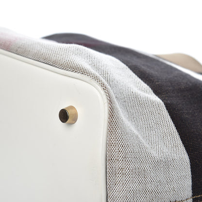 Burberry Canvas Mega Check Medium Ashby Hobo White 13 of 16