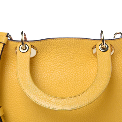 Christian Dior Calfskin Medium Diorissimo Tote Tournesol 14 of 14