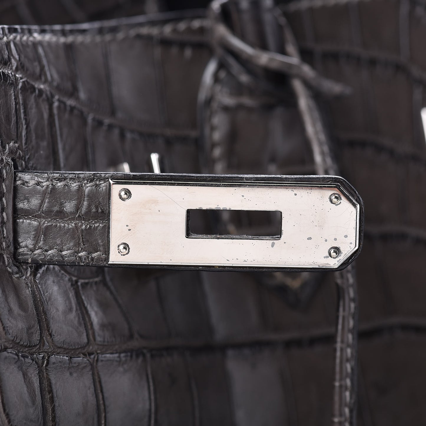 Matte Niloticus Crocodile Birkin 30 Gris Elephant