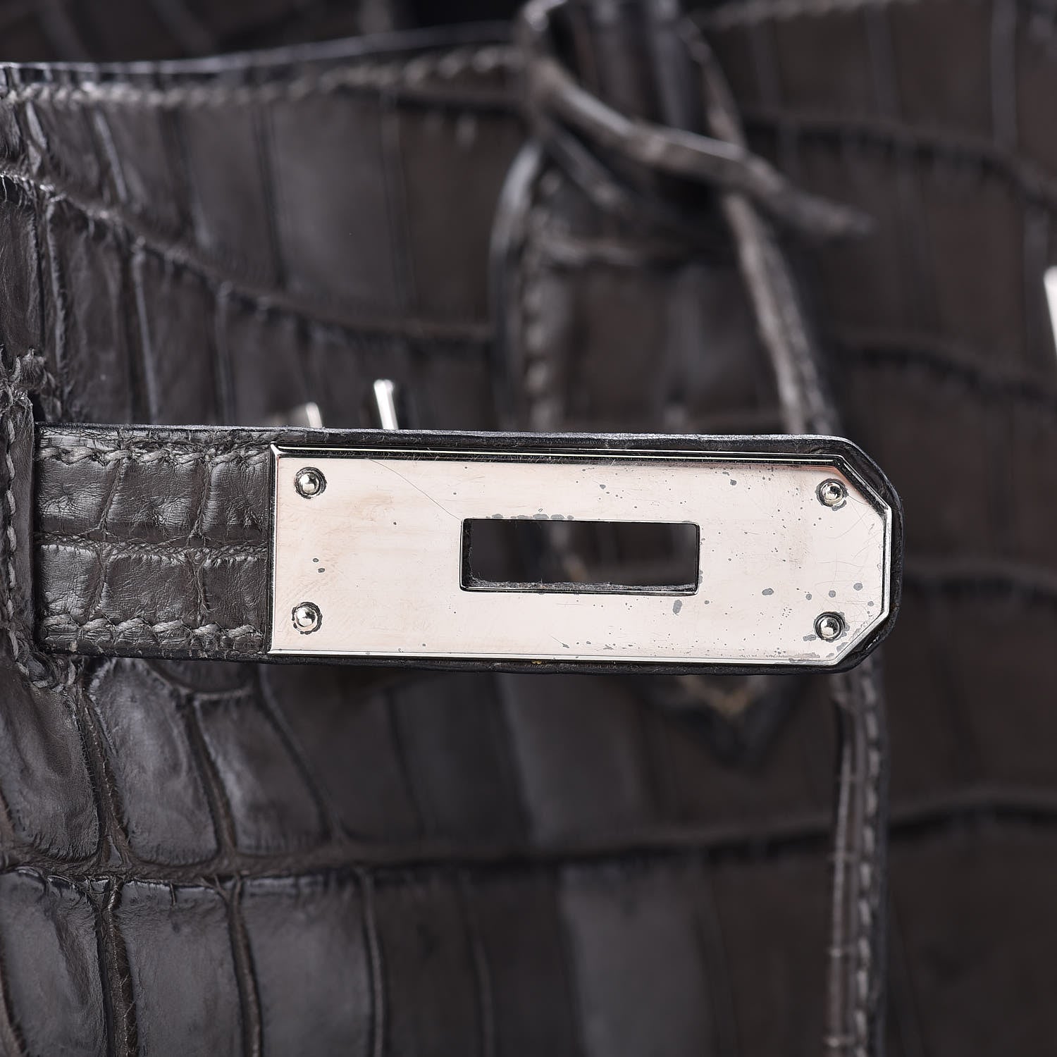 Hermes Matte Niloticus Crocodile Birkin 30 Gris Elephant 18 of 45