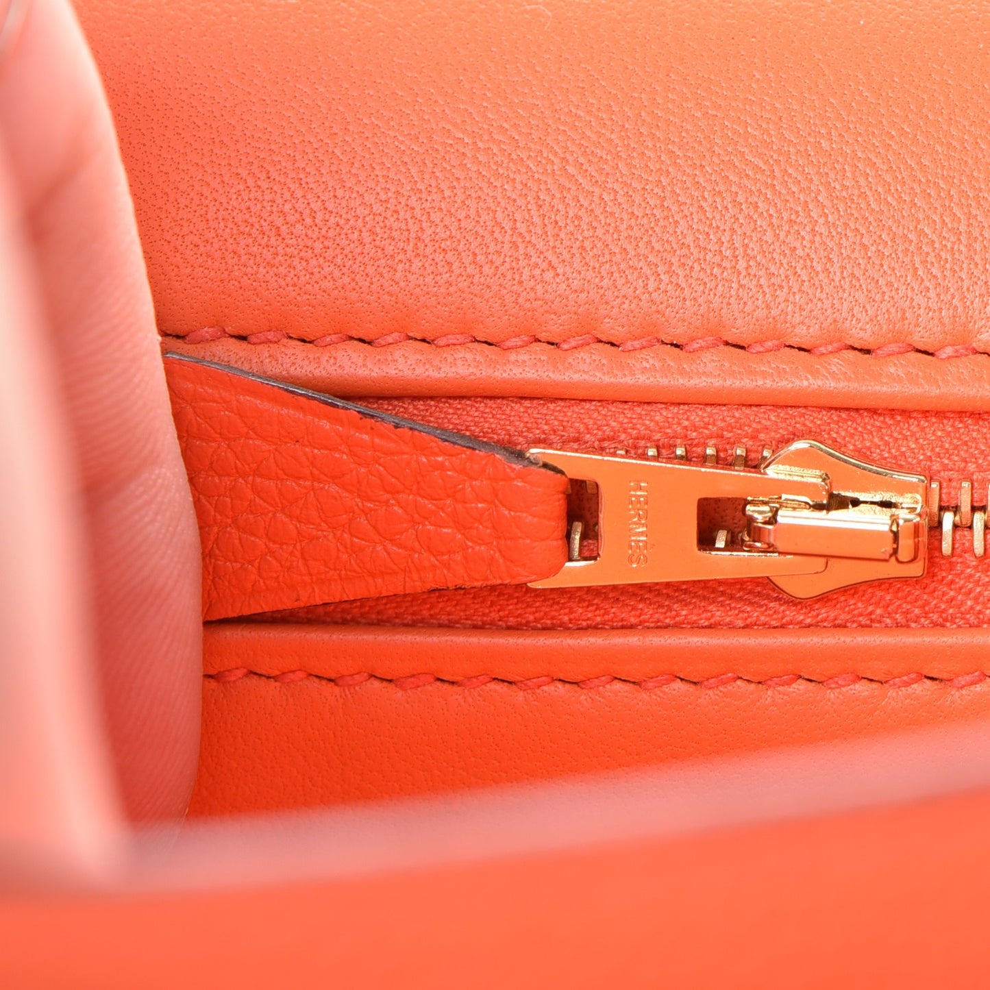 Evercolor Constance 24 Orange Poppy
