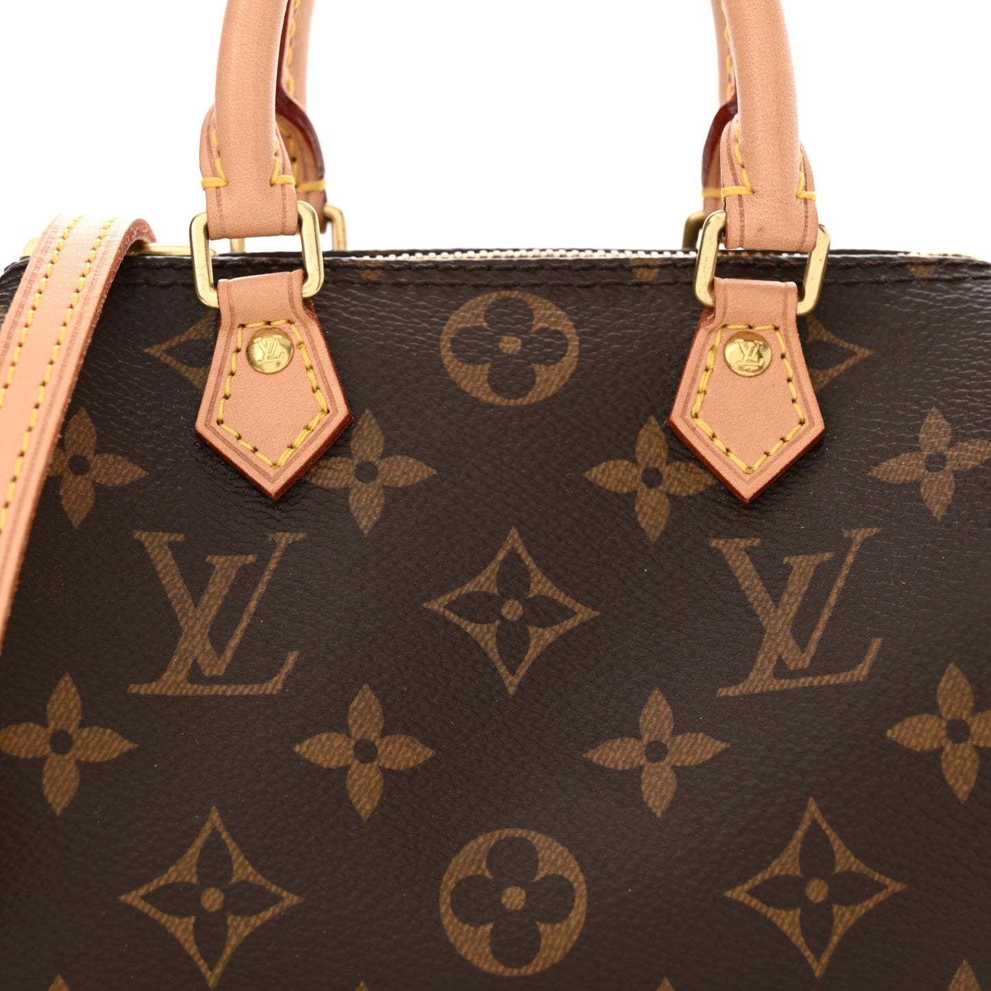 Monogram Nano Speedy