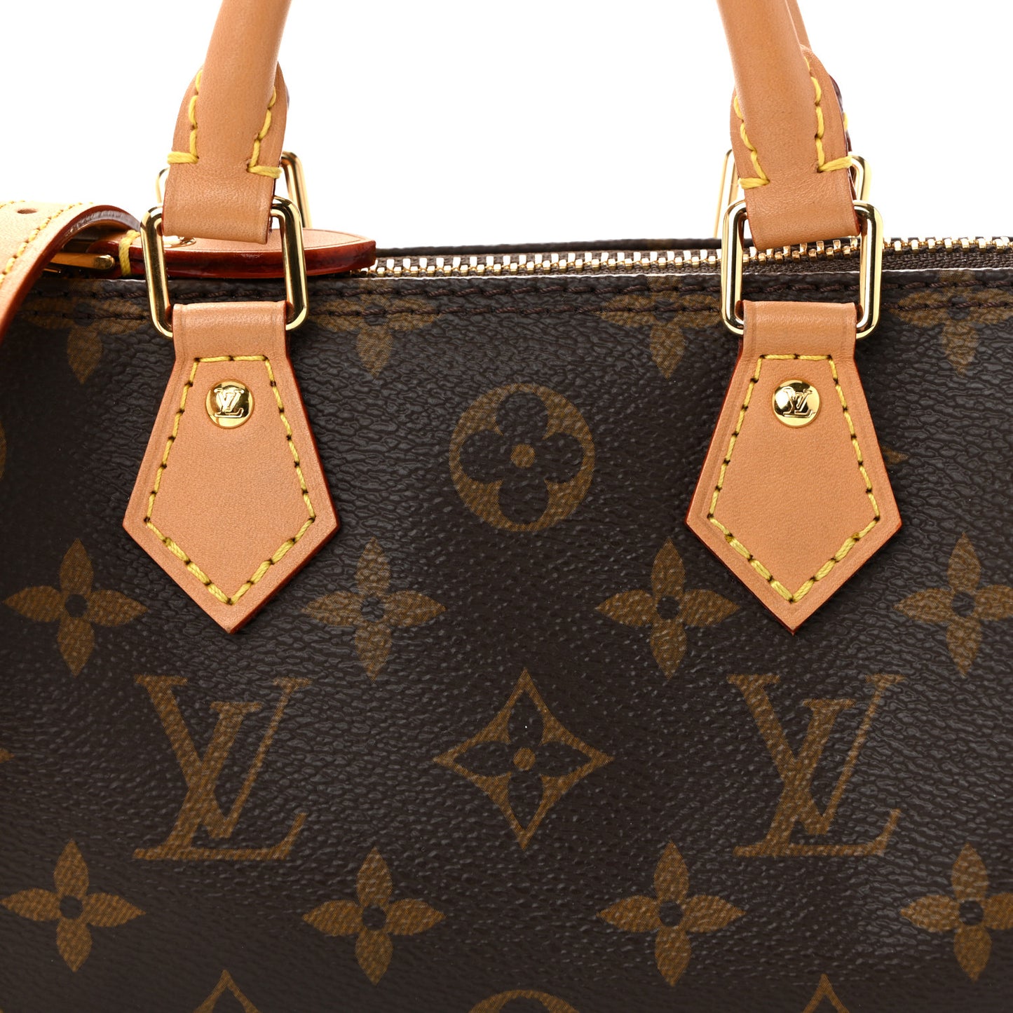 Monogram Nano Speedy Bandouliere