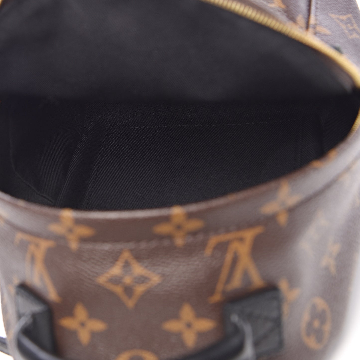 Monogram Palm Springs Backpack Mini
