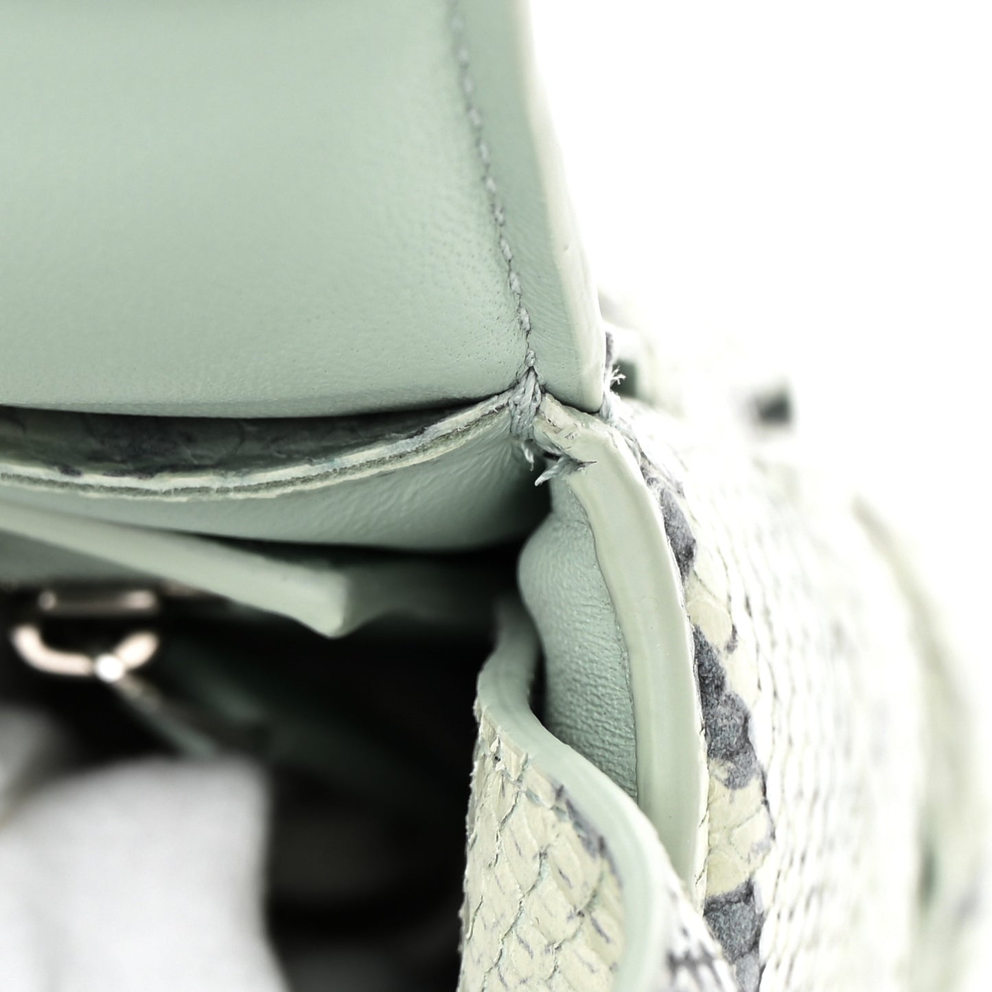 Goatskin Python Embossed Padded Cassette Crossbody Bag Dew Black Silver