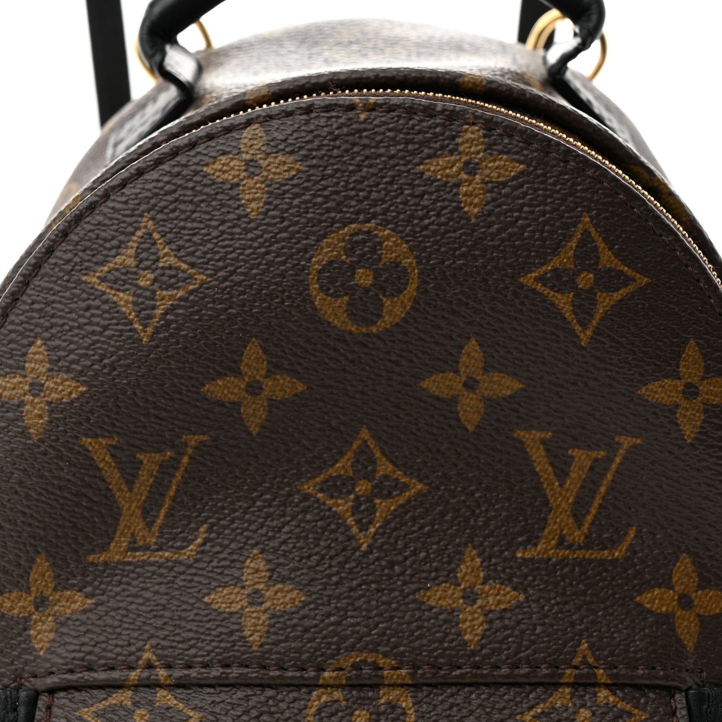 Monogram Palm Springs Backpack Mini