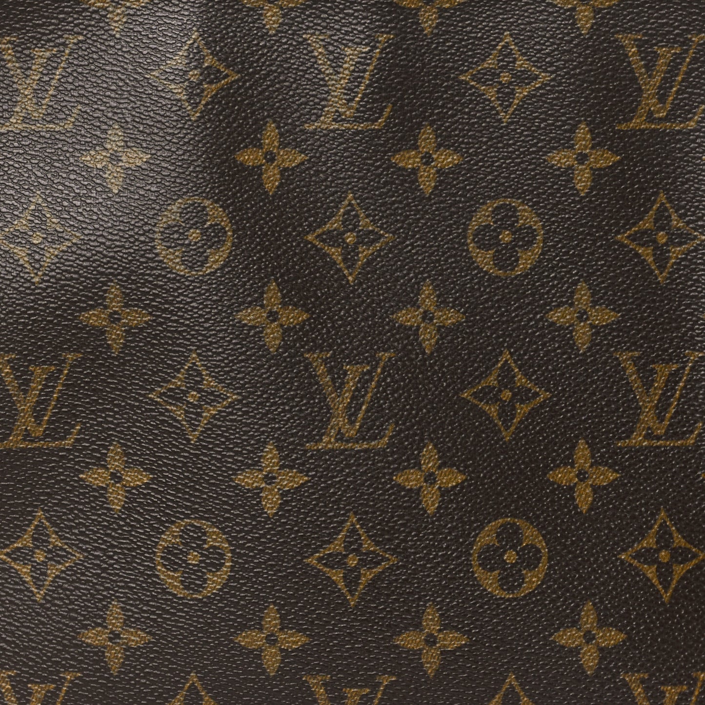Monogram Looping MM
