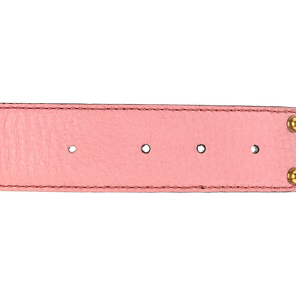 Gucci Canvas Web Interlocking G Belt 80 32 Green Pink 4 of 6