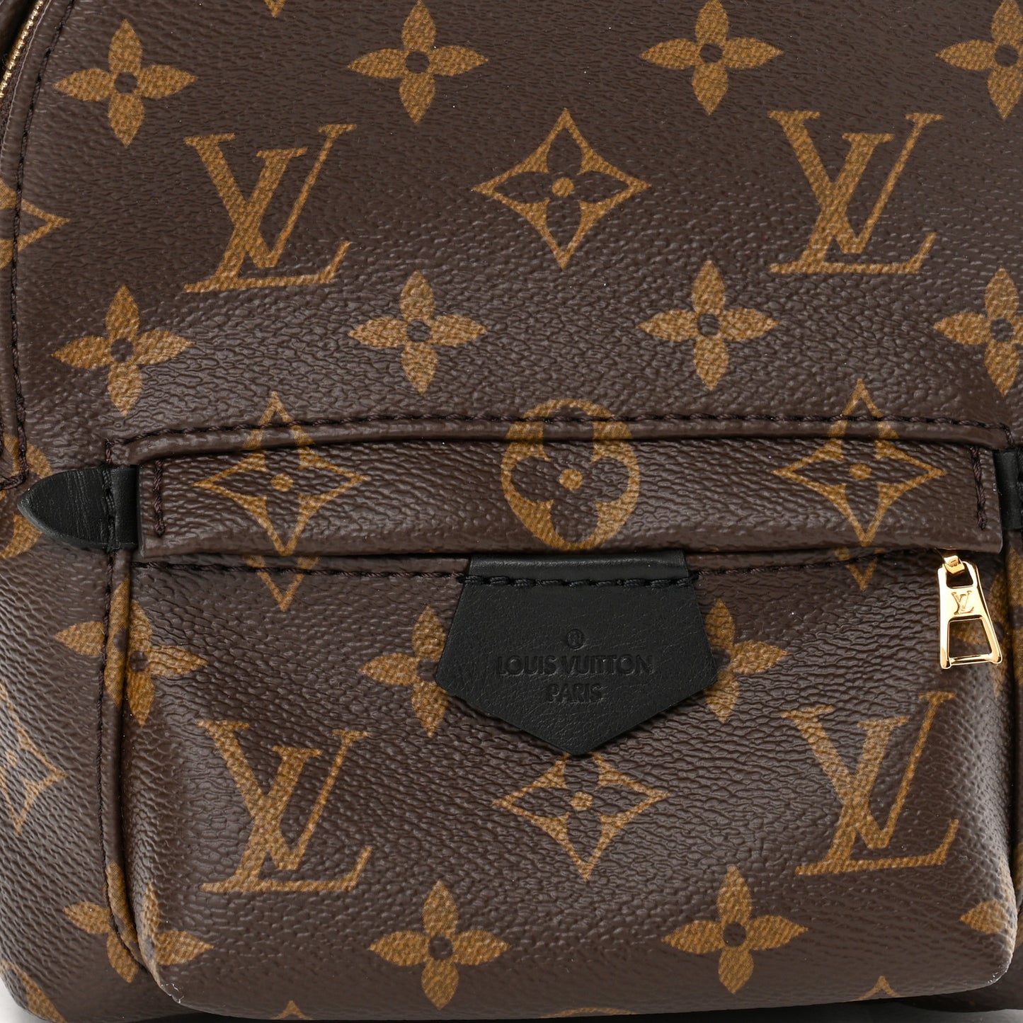 Monogram Palm Springs Backpack Mini