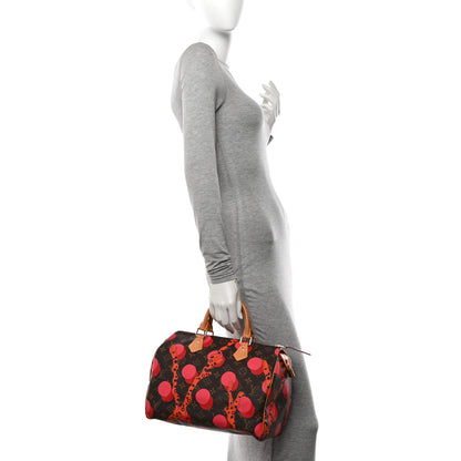 Louis Vuitton Monogram Ramages Speedy 30 Grenade 2 of 11
