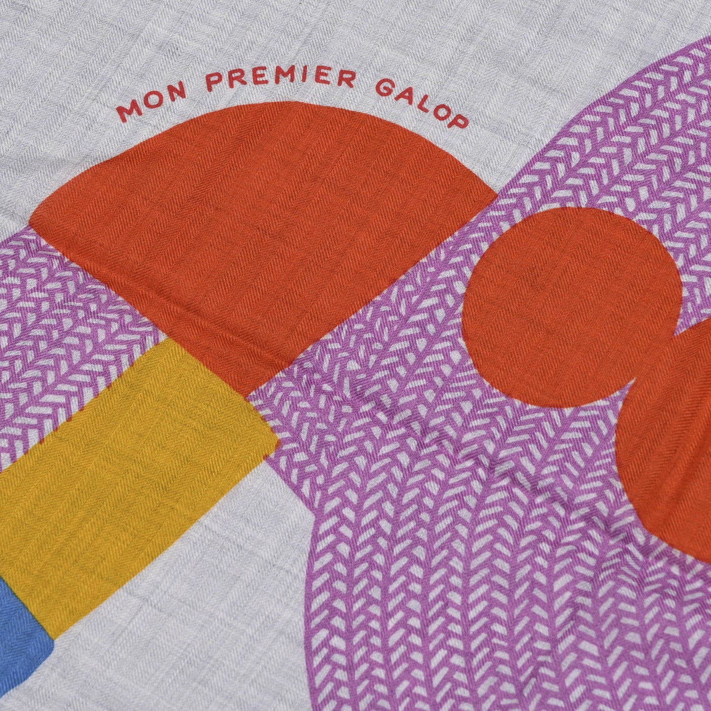 Cashmere Silk Mon Premier Galop Shawl 140 Gris Chine Rouge