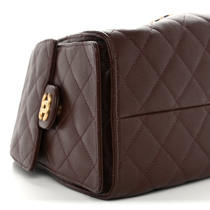 Chanel Caviar Quilted Small Chanel 25 Handbag Dark Brown 9 of 10