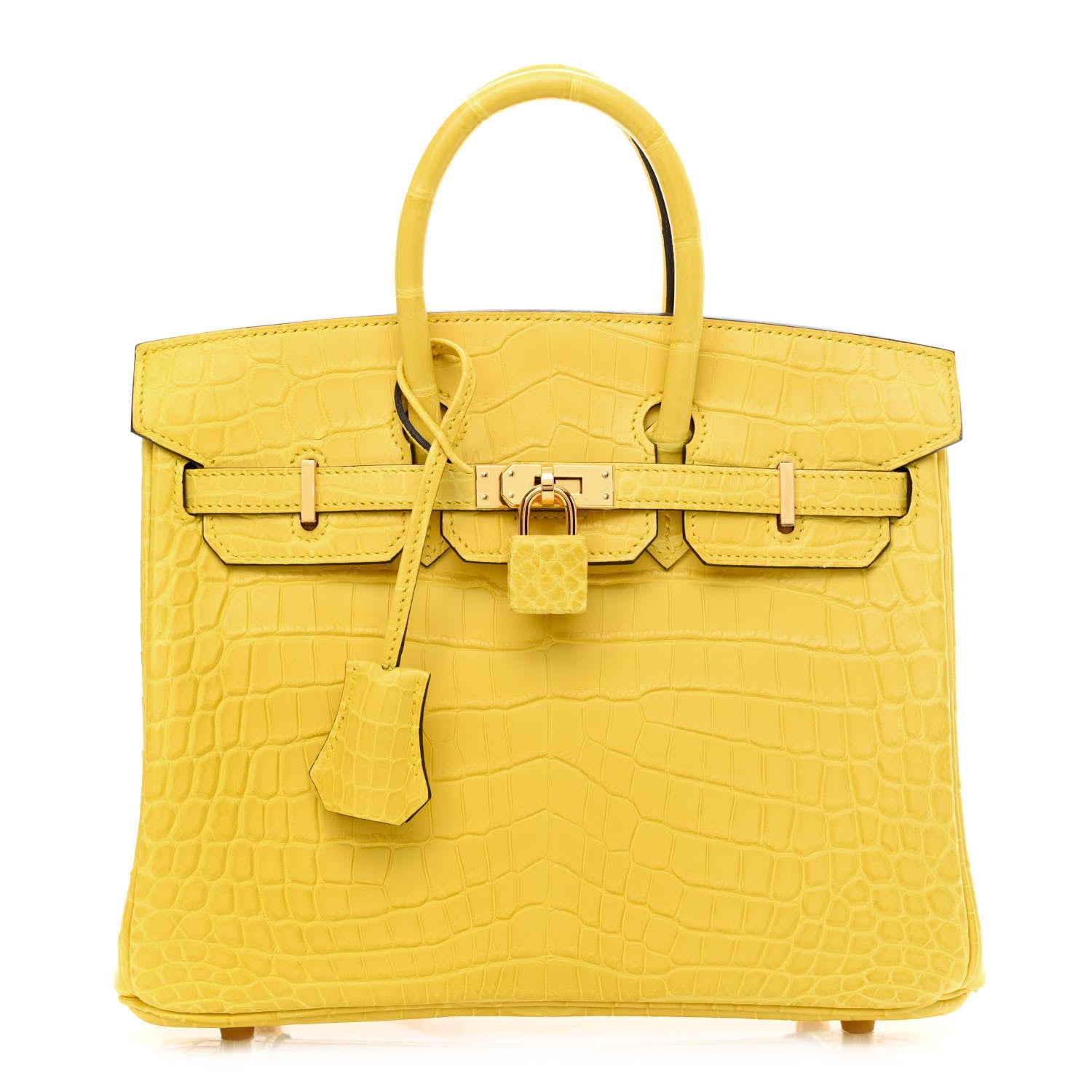 Hermes Matte Niloticus Crocodile Birkin 25 Mimosa 1 of 12