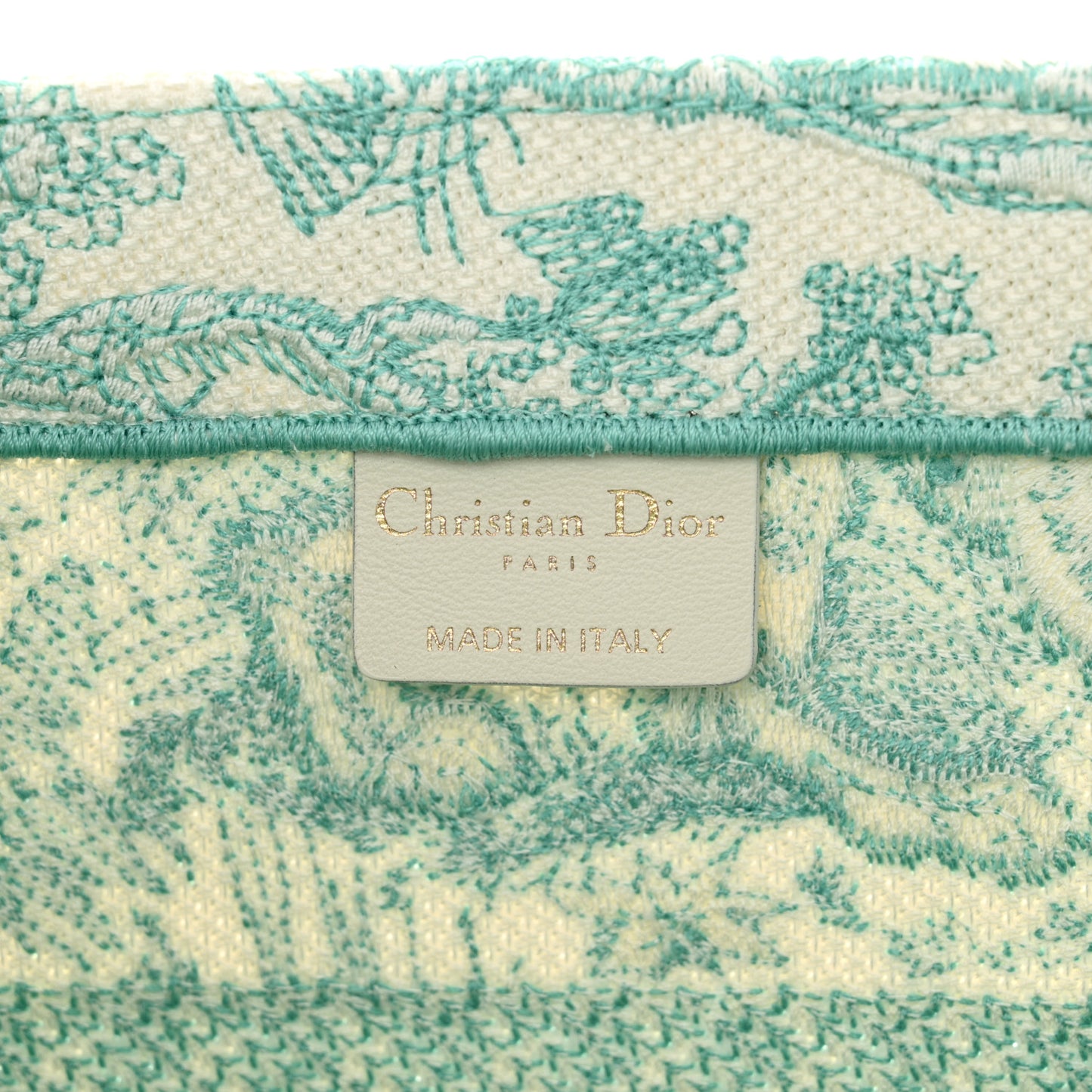 Canvas Embroidered Medium Dioriviera Toile De Jouy Book Tote Aquamarina