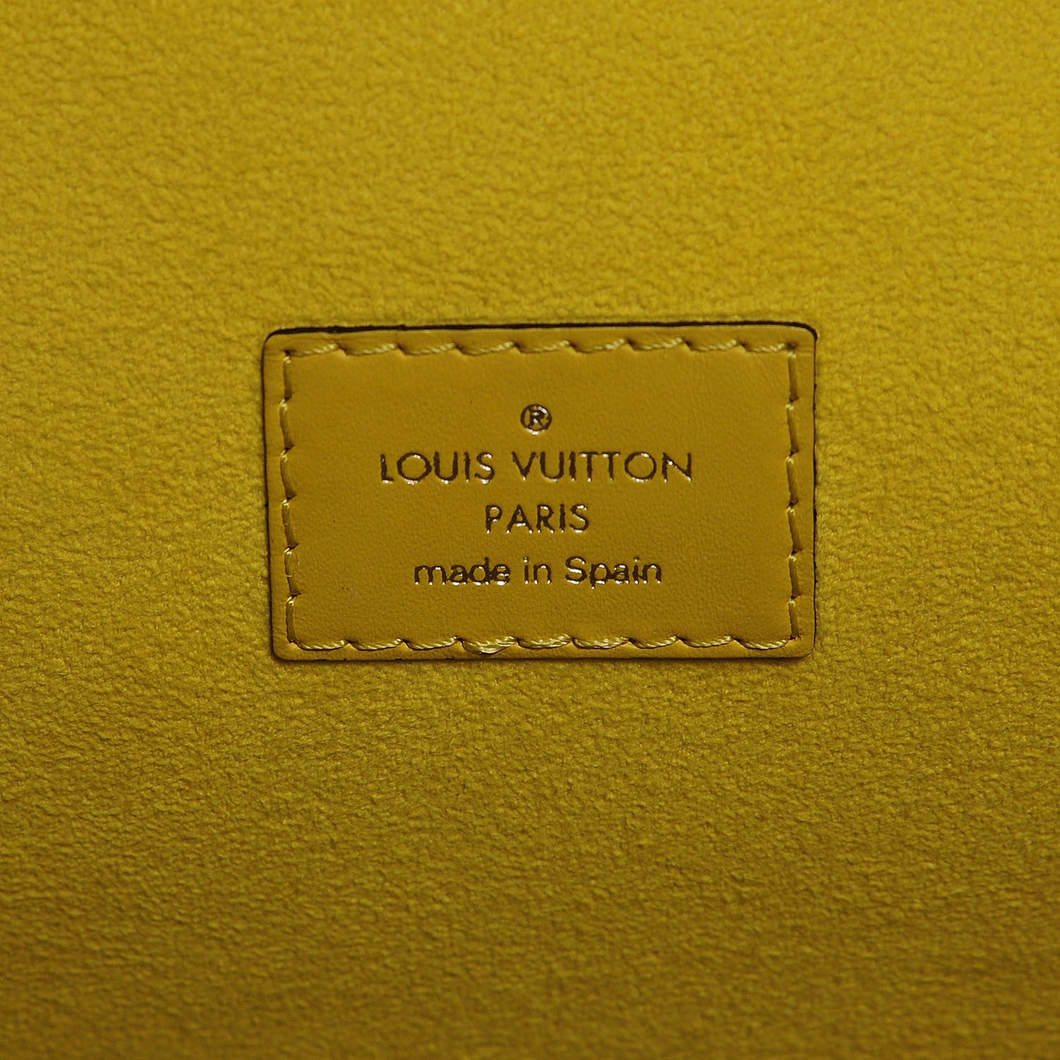 Louis Vuitton Epi Neverfull MM Pistache 7 of 8