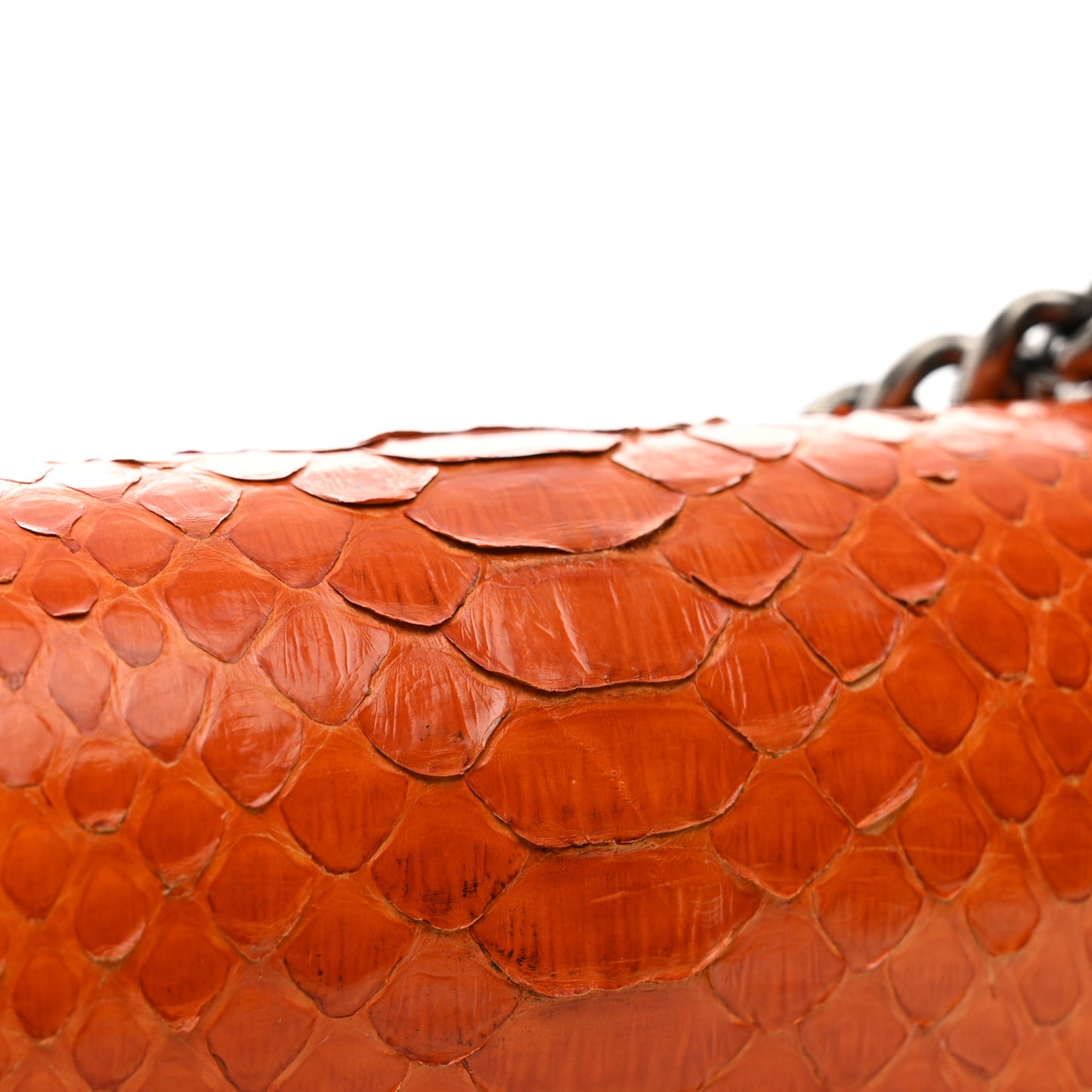 Snakeskin Small Boy Flap Orange