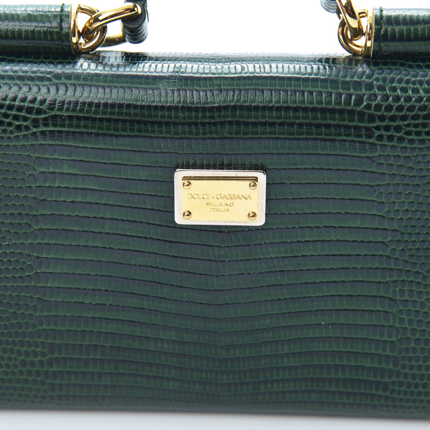 Dolce & Gabbana Lizard Calfskin Embossed Crystal Wallet On Chain Green 11 of 11