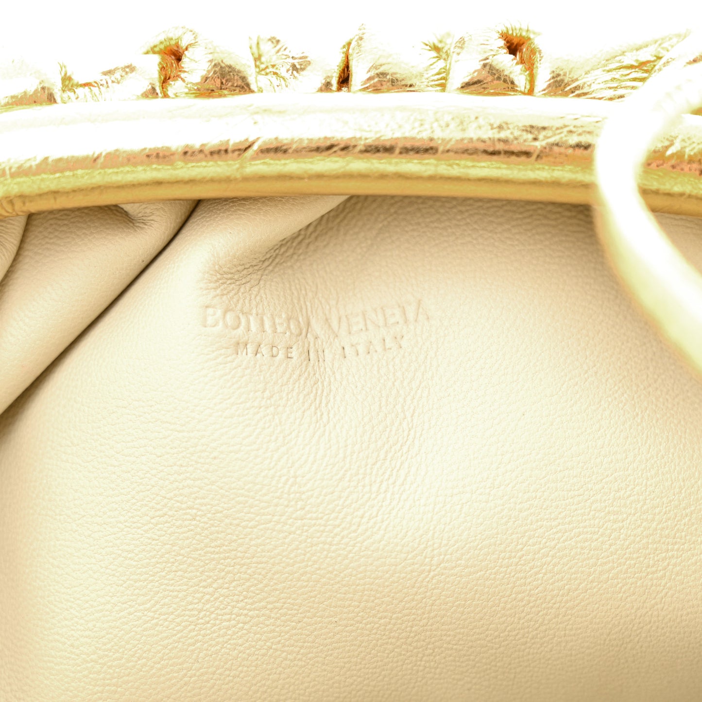 Metallic Bark Calfskin The Mini Pouch Gold