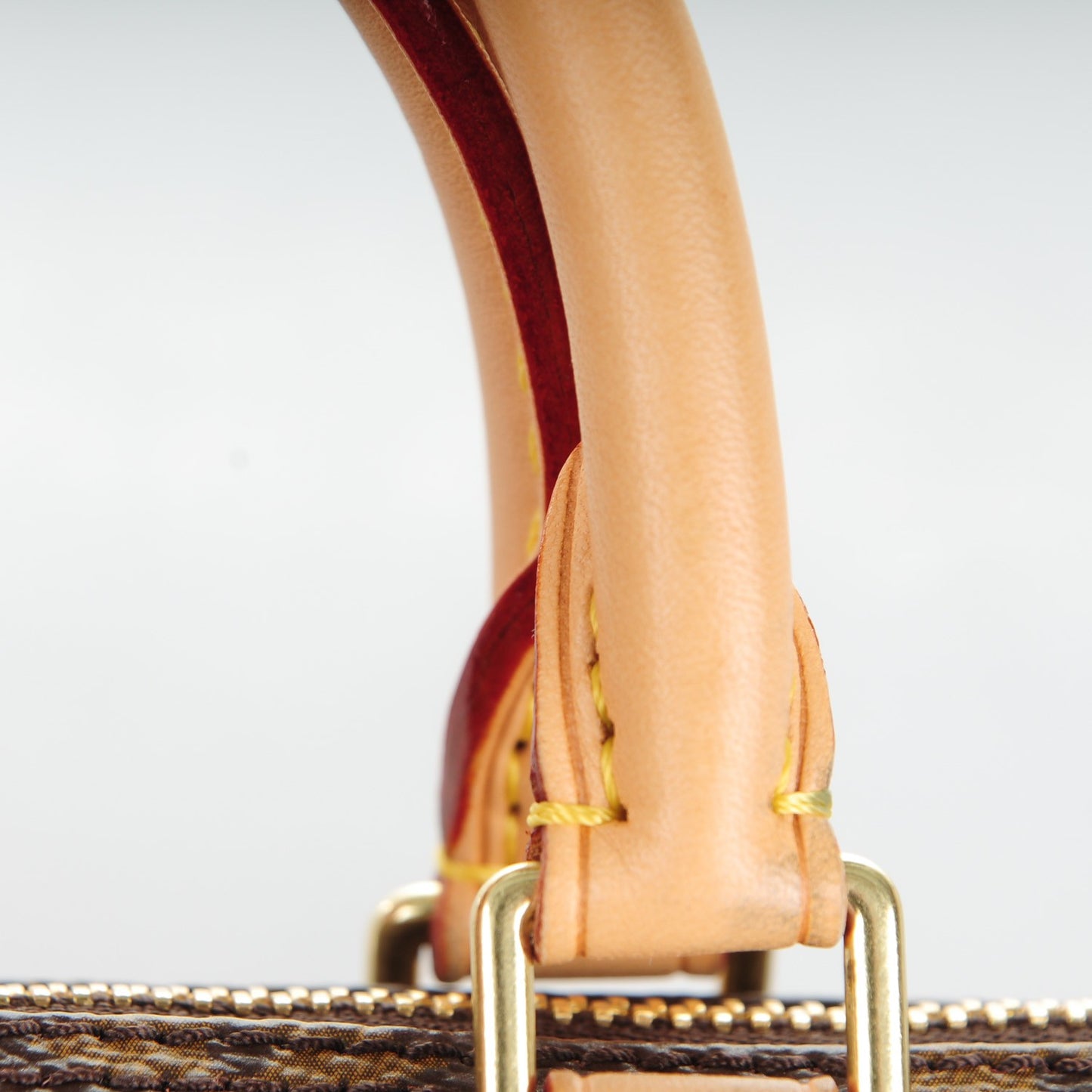 Monogram Mini Sac HL Speedy