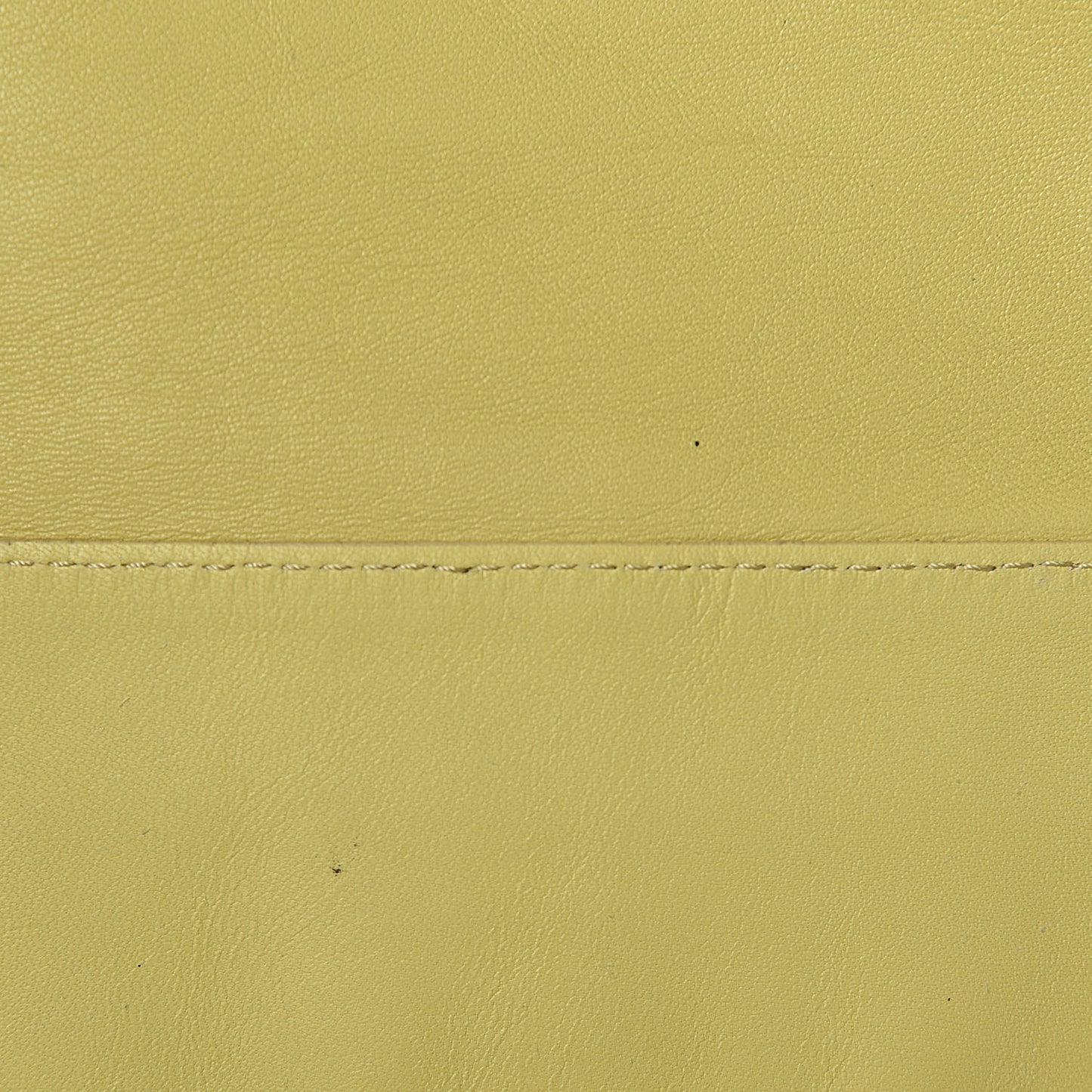 Smooth Lambskin Small Vertical Bi-Cabas Beige Yellow